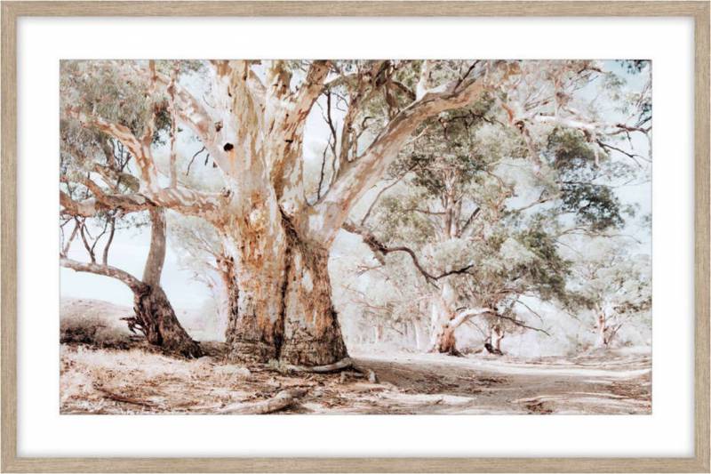Murray Tree Framed Artwork 80cm