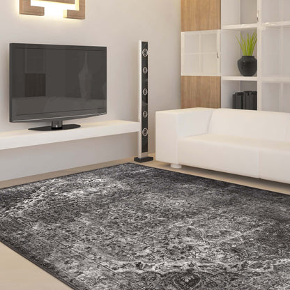 Fame 24 Dk Grey Rug
