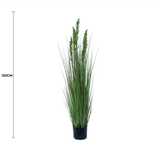 Flowering Native Grass 120cm - Image 2