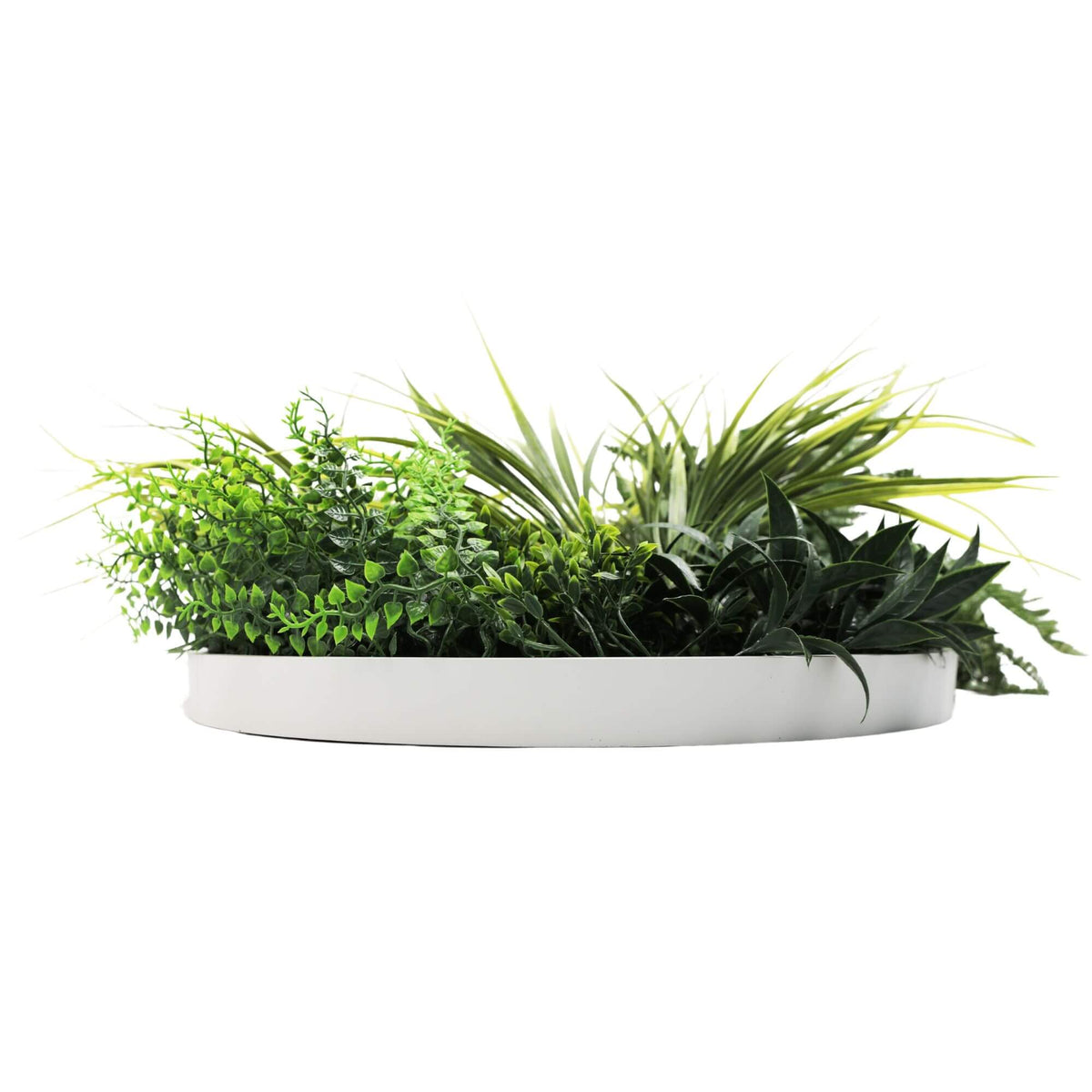 Slimline Artificial Green Wall Disc Art 50cm White Grassy UV Resistant (White) - Image 4