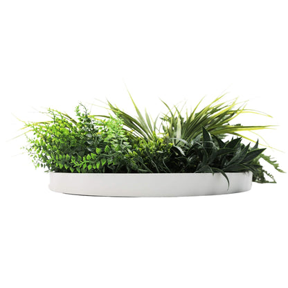 Slimline Artificial Green Wall Disc Art 50cm White Grassy UV Resistant (White) - Image 4