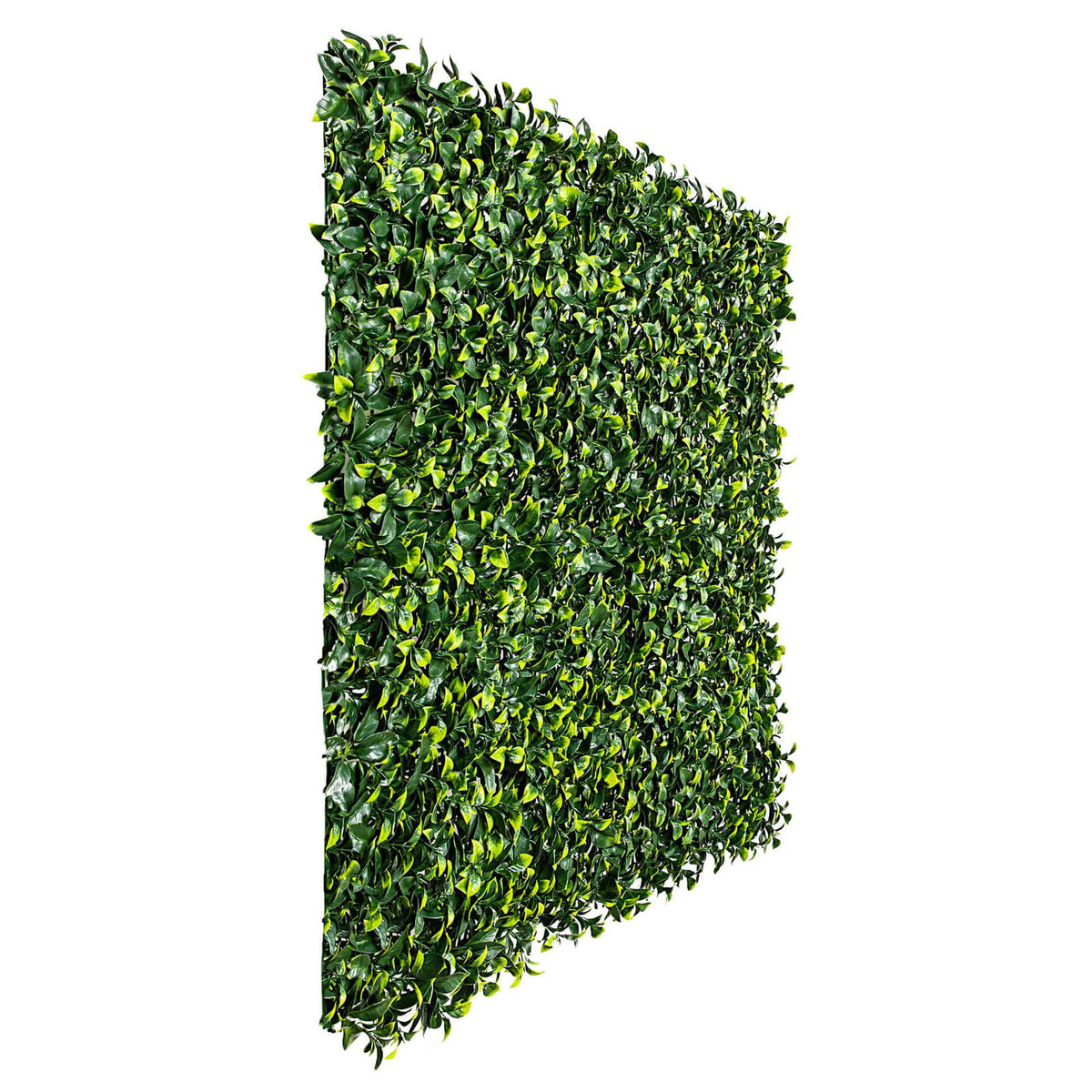 Jasmine Hedge Screen Green Wall Panel UV Resistant 100cm x 100cm - Image 3