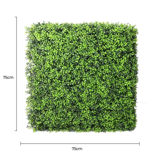 Luxury Deluxe Portable Buxus (Bright) Hedge UV Resistant 75cm x 75cm