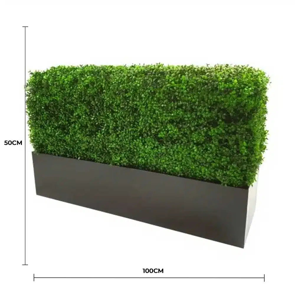 Luxury Deluxe Portable Buxus (Bright) UV Resistant 100cm Long x 50cm High x 25cm Wide - Image 2