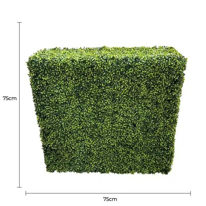 Mixed Boxwood Hedge UV Resistant 75cm Long x 75cm High - Image 2