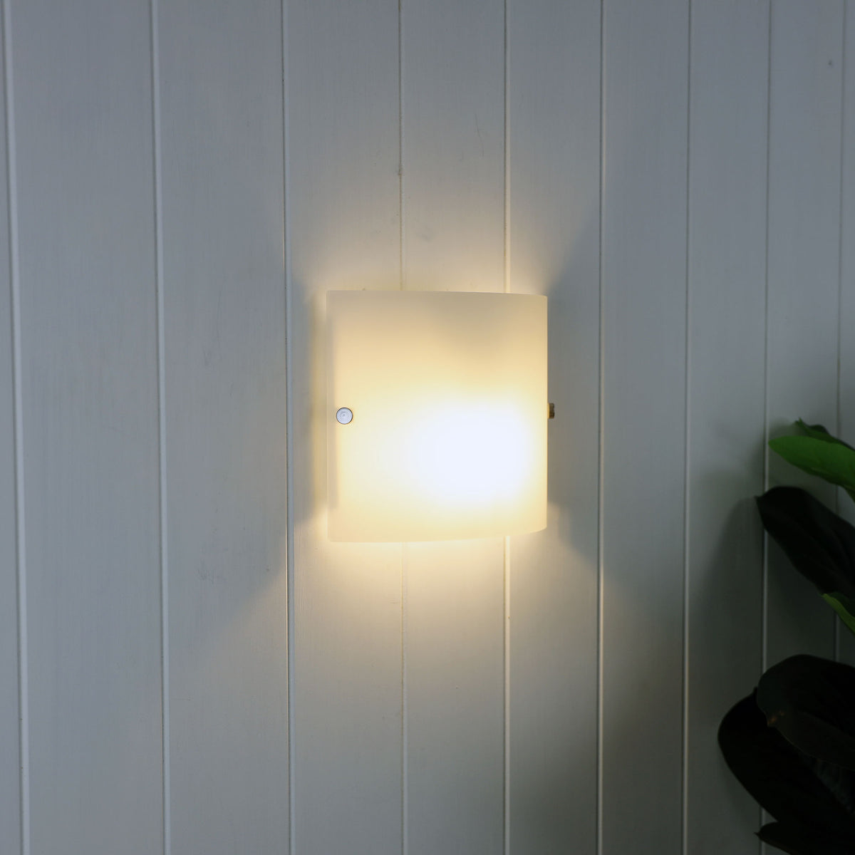 Simple Wall Mounted Light Frost Glass - Duo.2