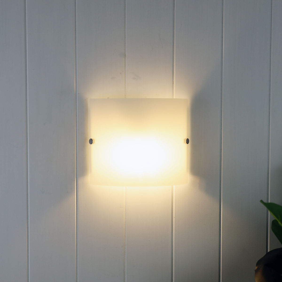 Simple Wall Mounted Light Frost Glass - Duo.2