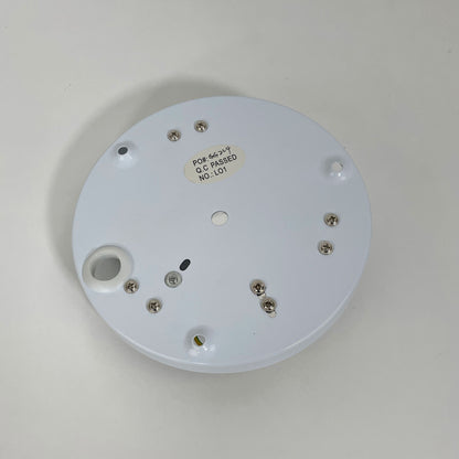 Opal Matt Wall Light 28cm - Elba