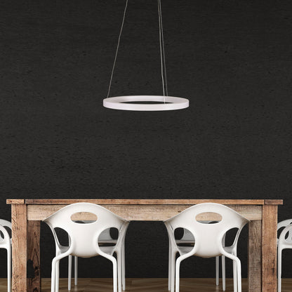 Modern Tricolour LED Halo Pendant - Nebula 40 CTS White