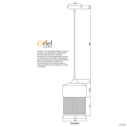 Industrial Mesh Pendant Retro Pendant - Chester.18