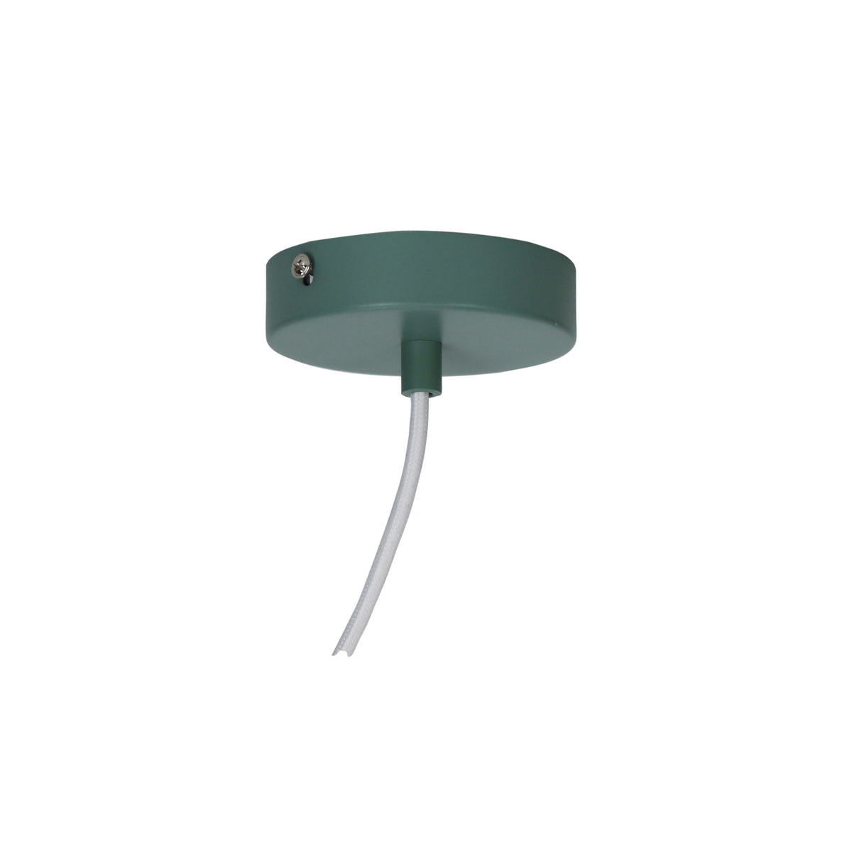 Stylish Conical Green Pendant with Real Wood Accents - Trigo.20