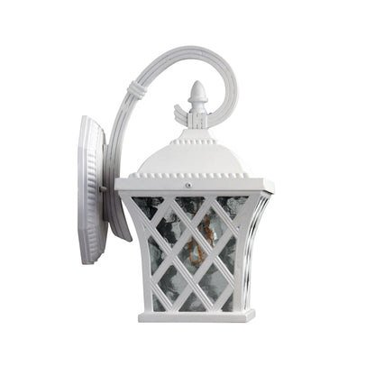 Traditional Outdoor Coach Light White - Fairview White