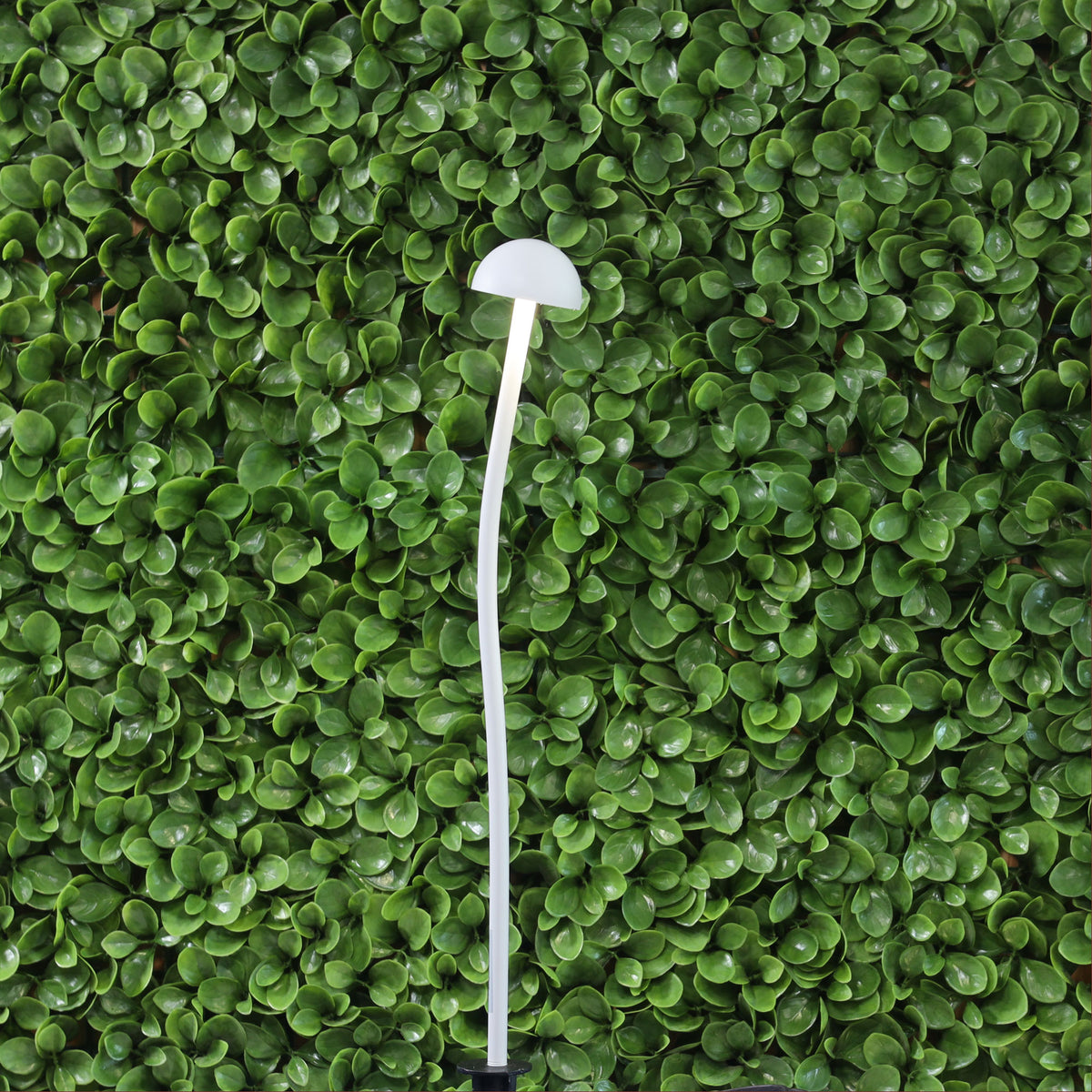 12V DIY Garden Light - Enoki.1