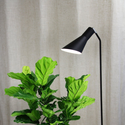 Black Floor Lamp - Thor Floor Lamp