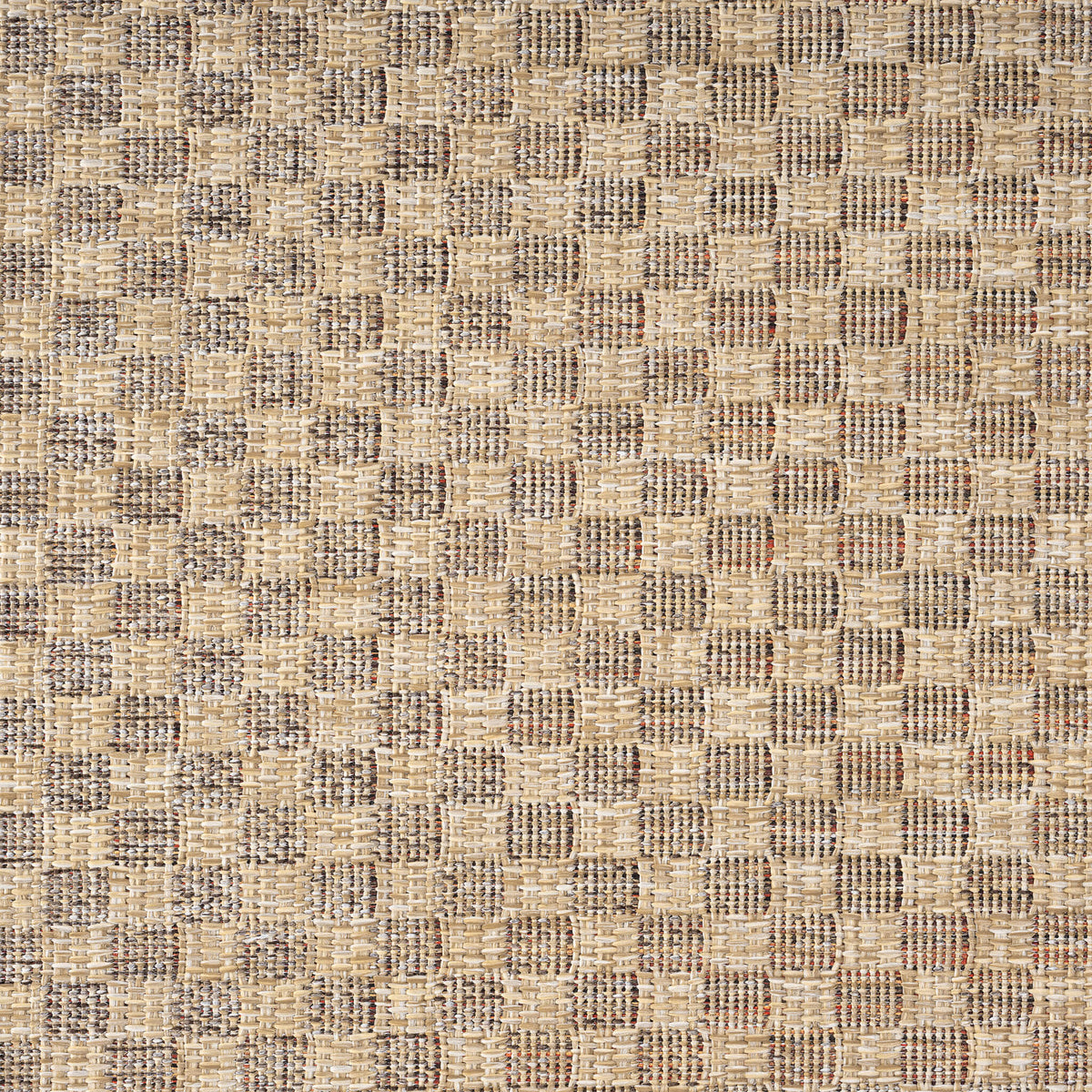 Park 565 Taupe Indoor Outdoor Modern Rug