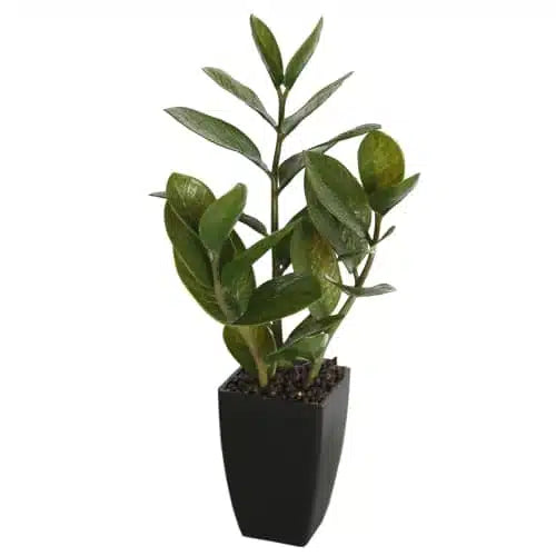 Artificial ZZ plant (Zanzibar) in pot, 46cm