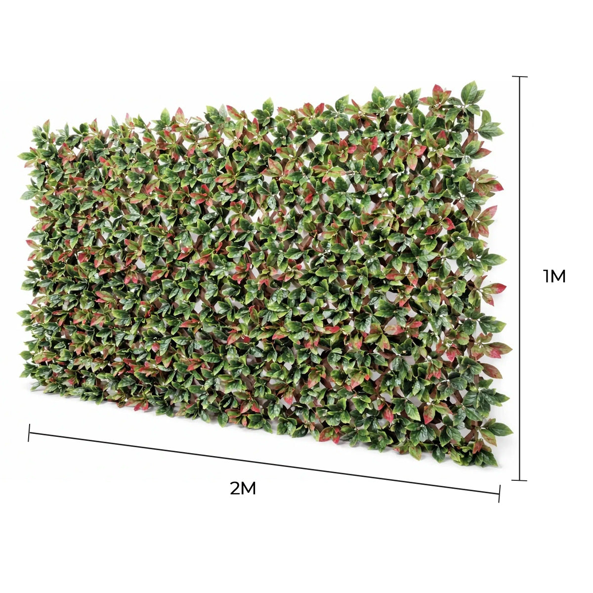 Premium Photinia Leaf Artificial Hedge Extendable Trellis / Screen 2m x 1m UV Resistant