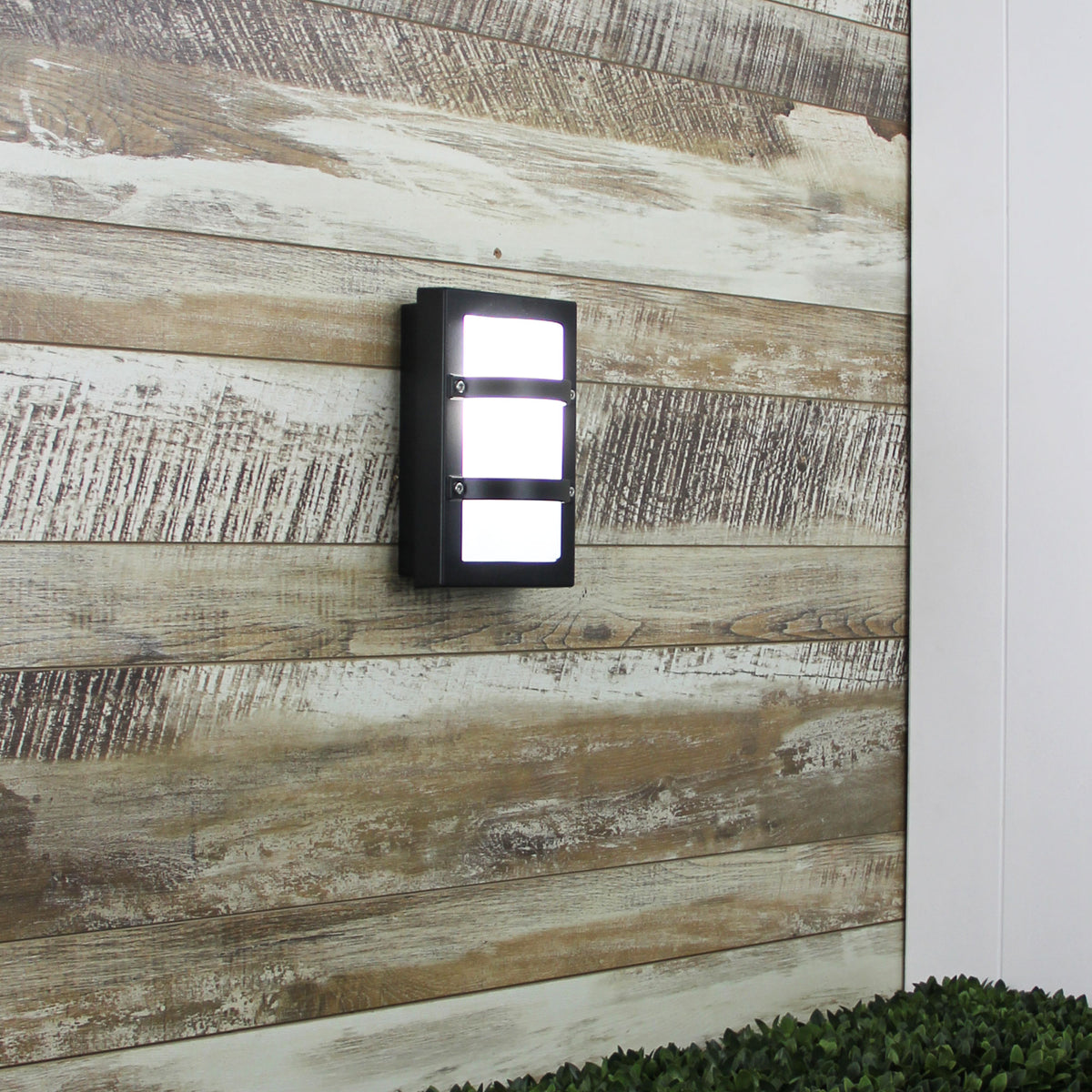 IP65 Premium Outdoor Bulkhead - Trio Mini Black