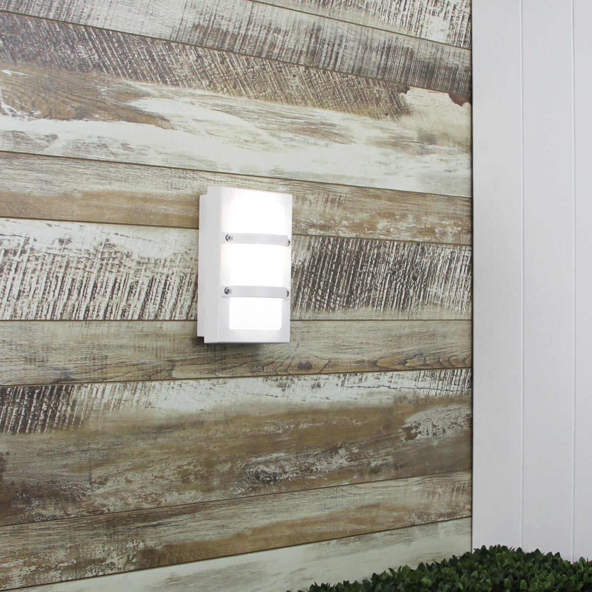 IP65 Premium Outdoor Bulkhead - Trio Mini White