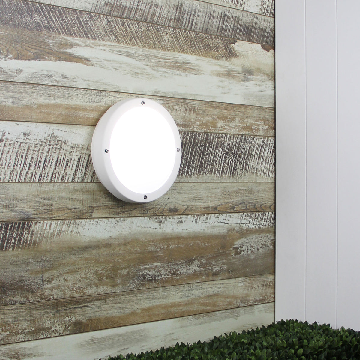 IP65 Premium Outdoor Bulkhead 27cm - Primo White
