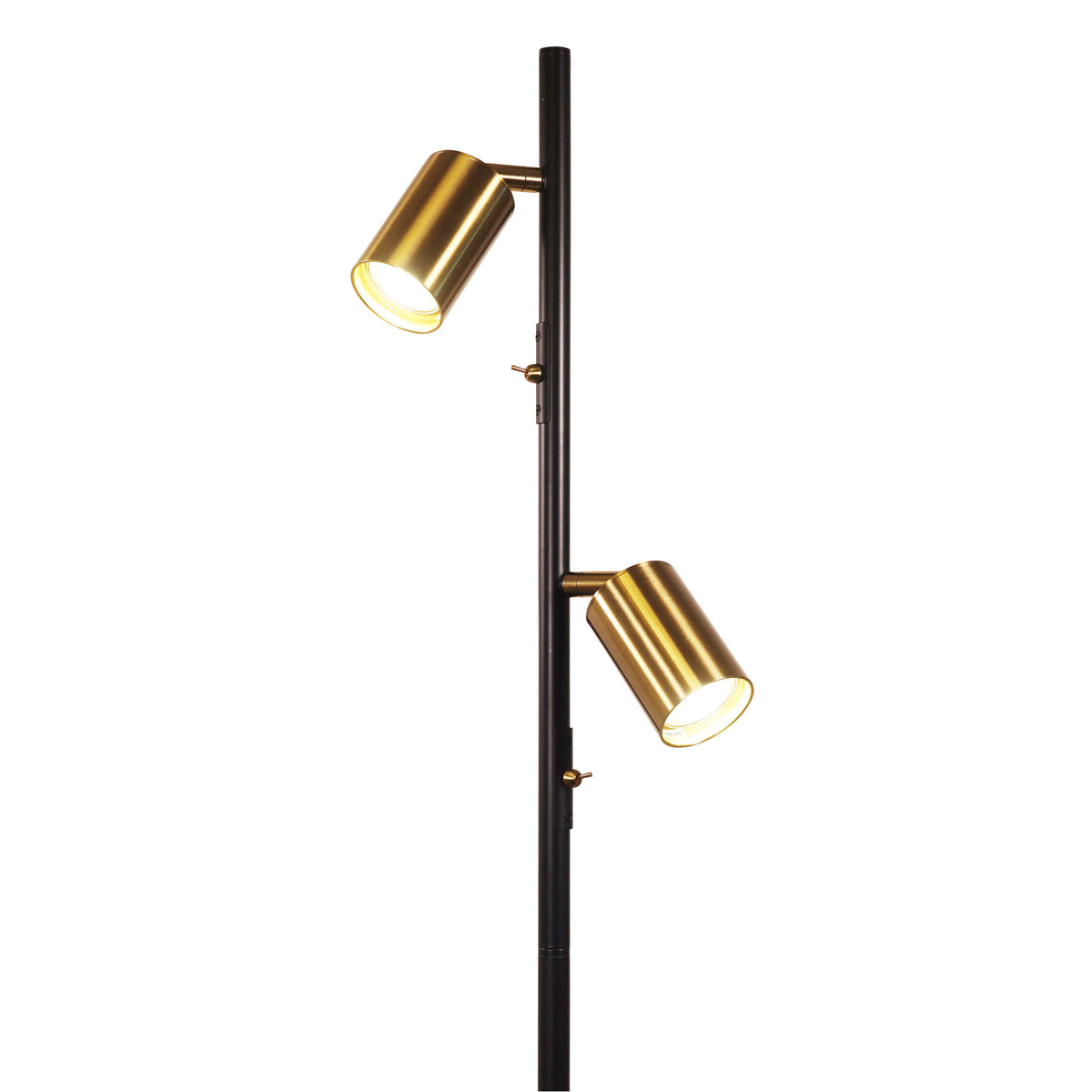 Adjustable Twin Floor Lamp Black and Satin Brass - Ponte Floor Bk/sb