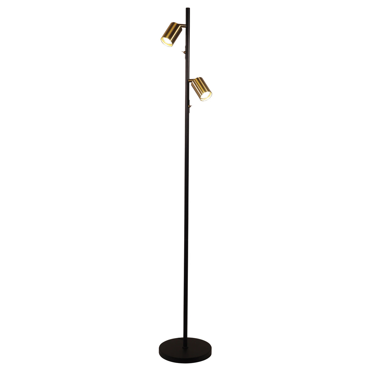 Adjustable Twin Floor Lamp Black and Satin Brass - Ponte Floor Bk/sb