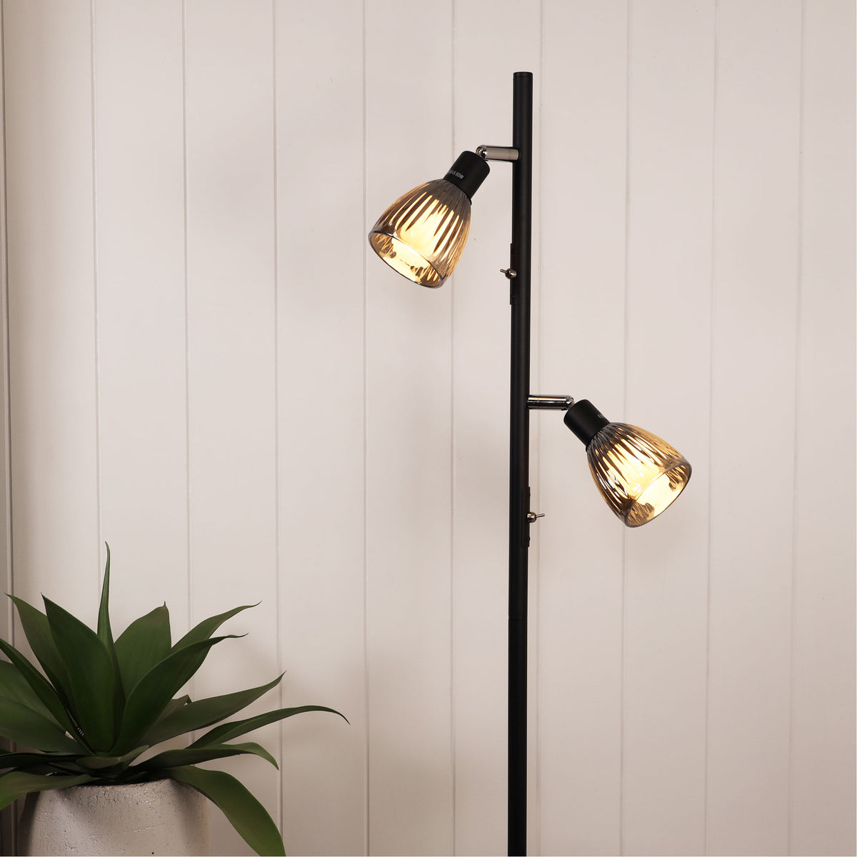 Smoked Glass Task Lamp - Alma Twin Floor