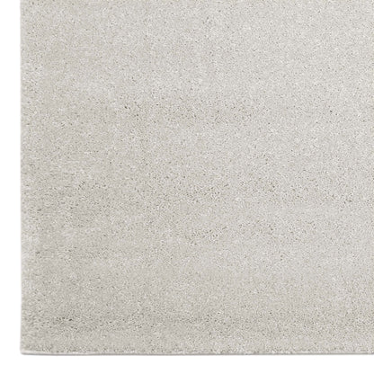 Sierra 6365 Beige Rug