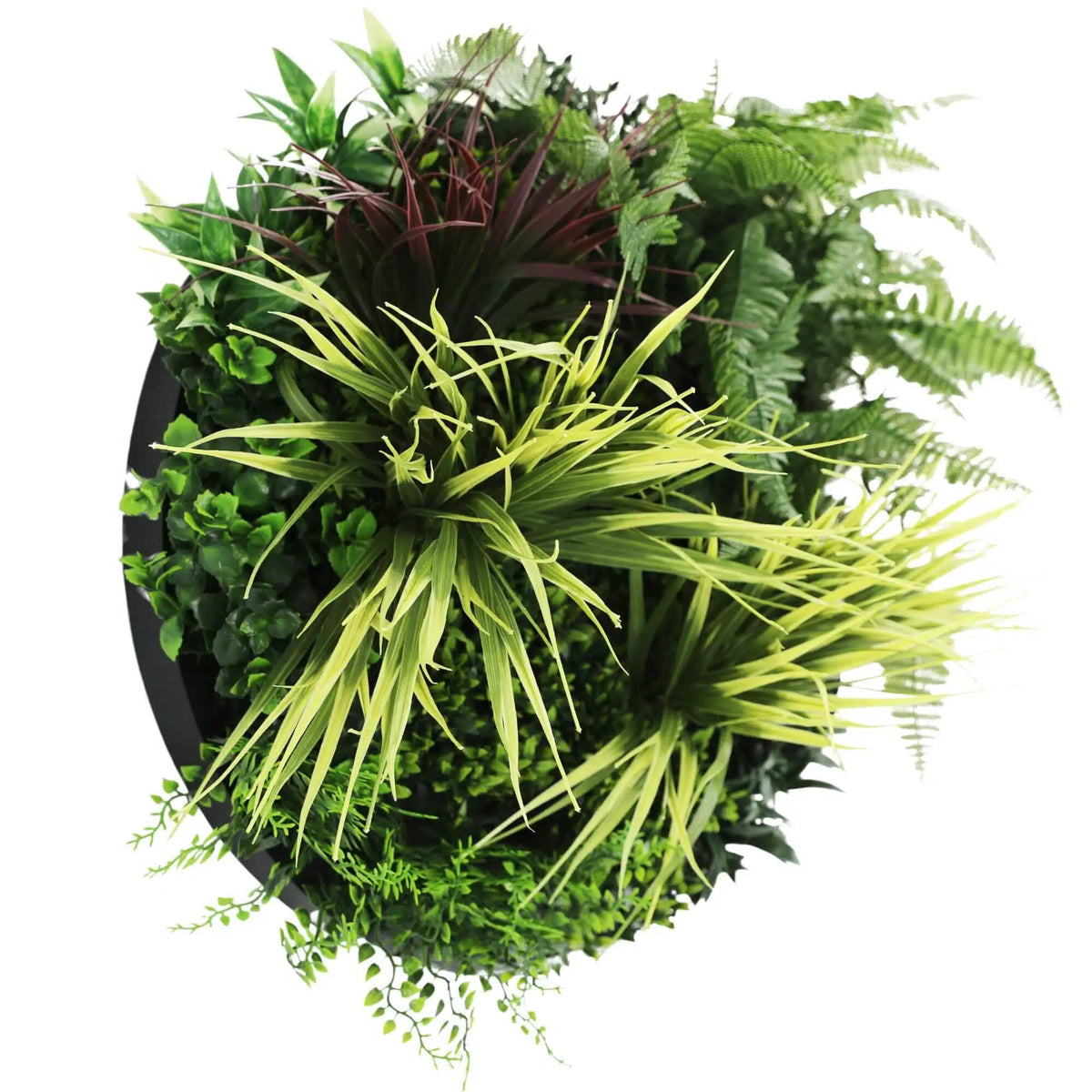 Slimline Artificial Green Wall Disc Art 50cm Grassy Fern Fields UV Resistant (Black) - Image 4