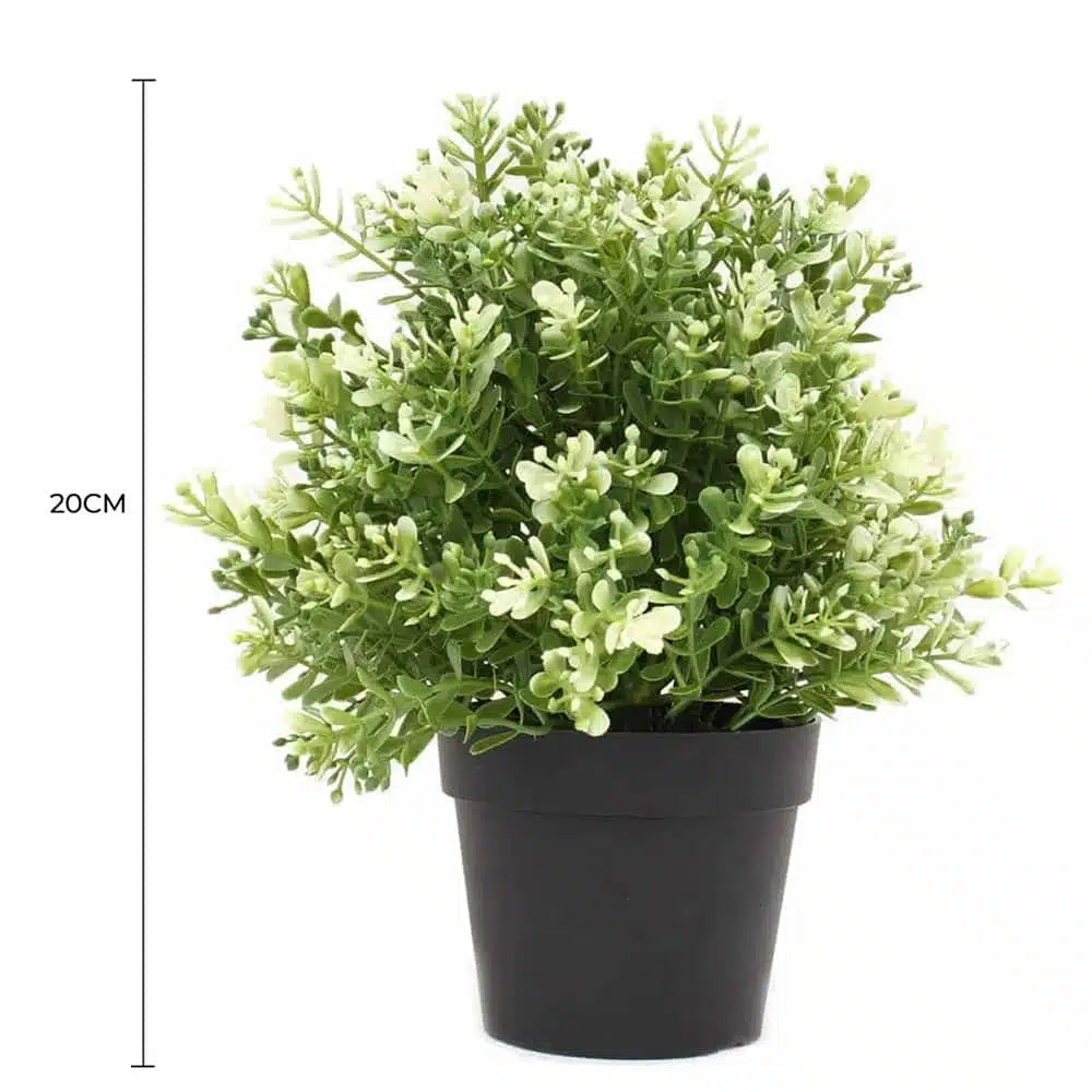 Small Potted Artificial White Jade Plant UV Resistant 20cm - Image 2