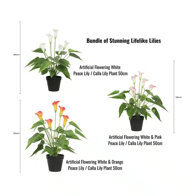 Stunning Lifelike Lilies Bundle - Image 2