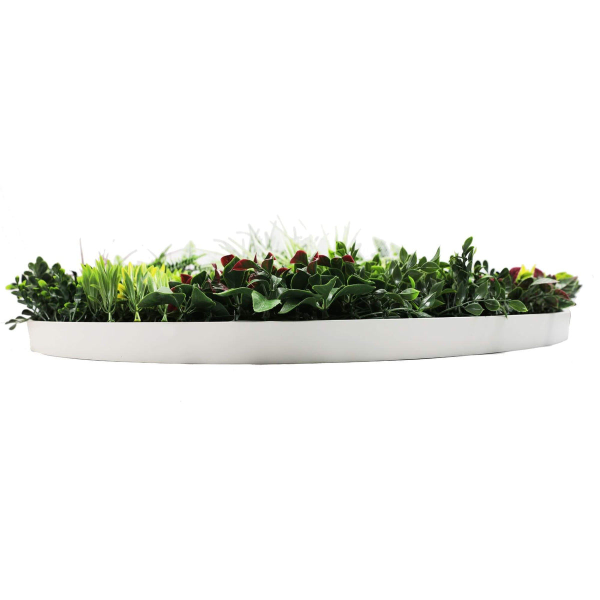 Slimline Artificial Green Wall Disc Art 100cm Colour Fresh UV Resistant (White) - Image 4