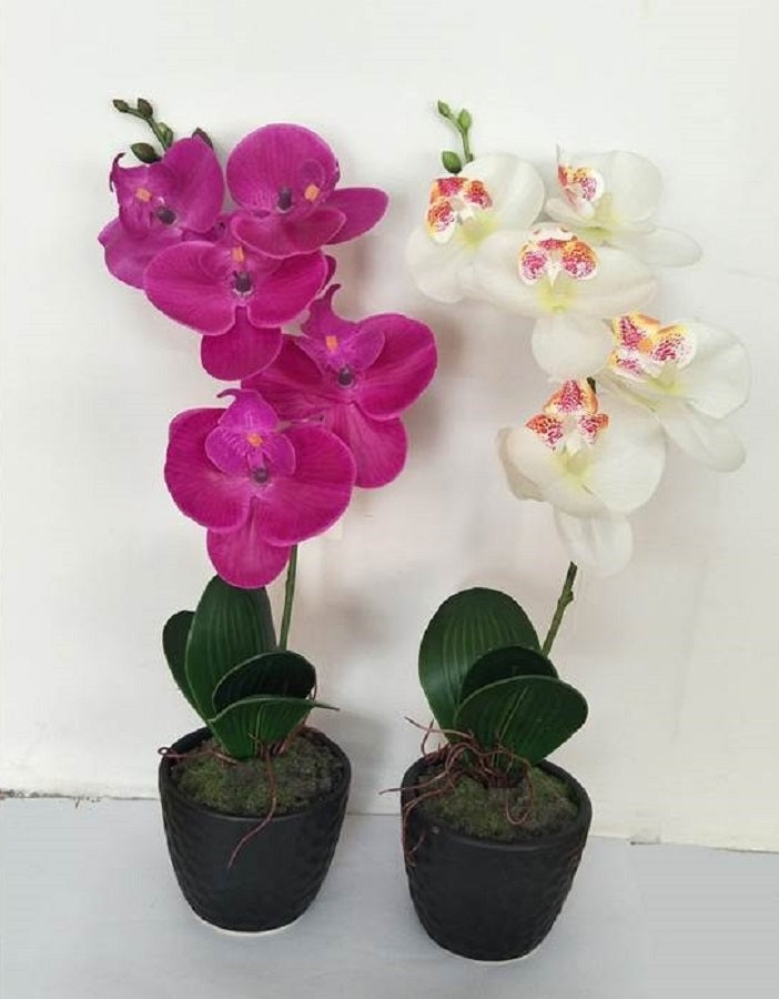 Set 2 Artificial Single Stem Orchid 32cm