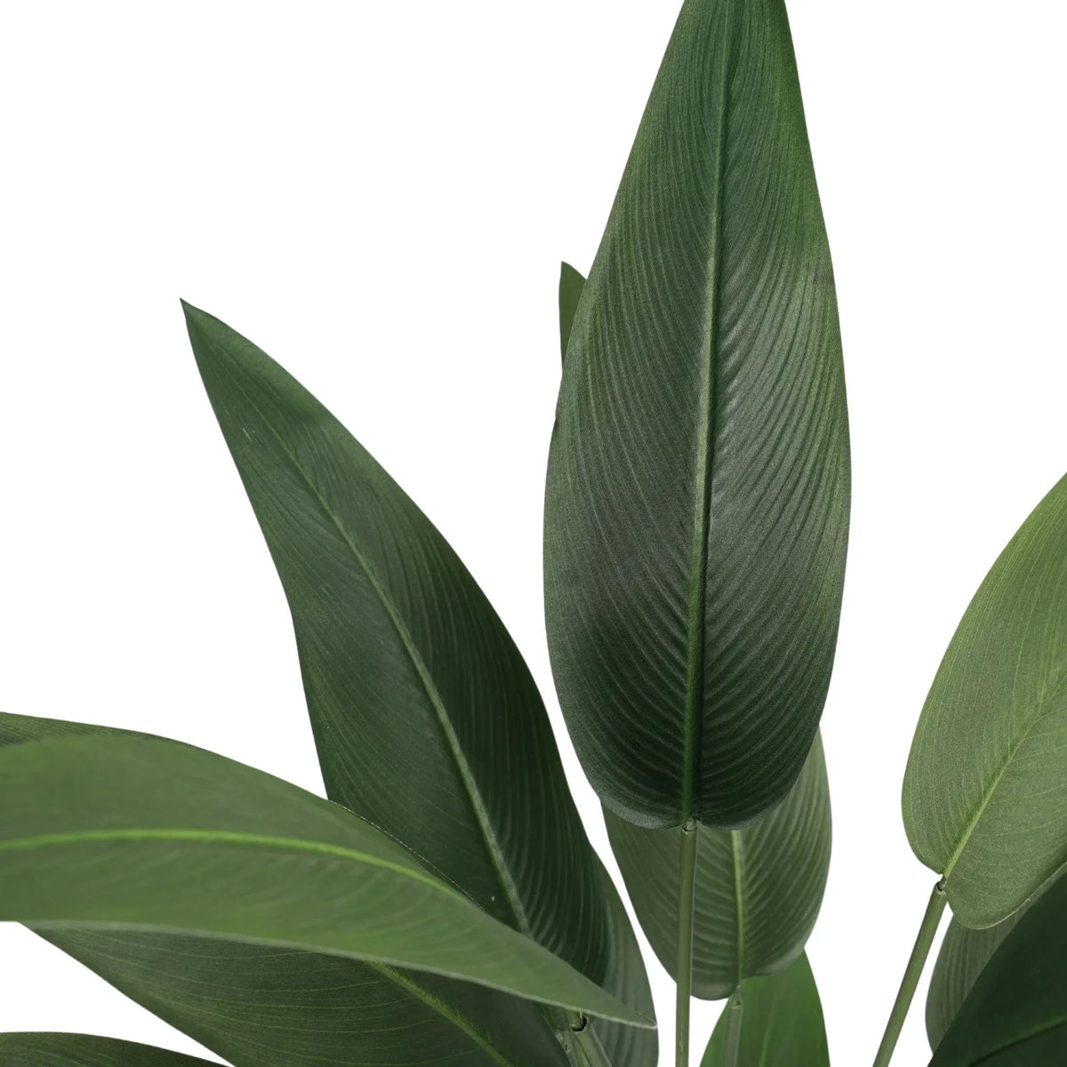 Premium Artificial Bird of Paradise 120cm