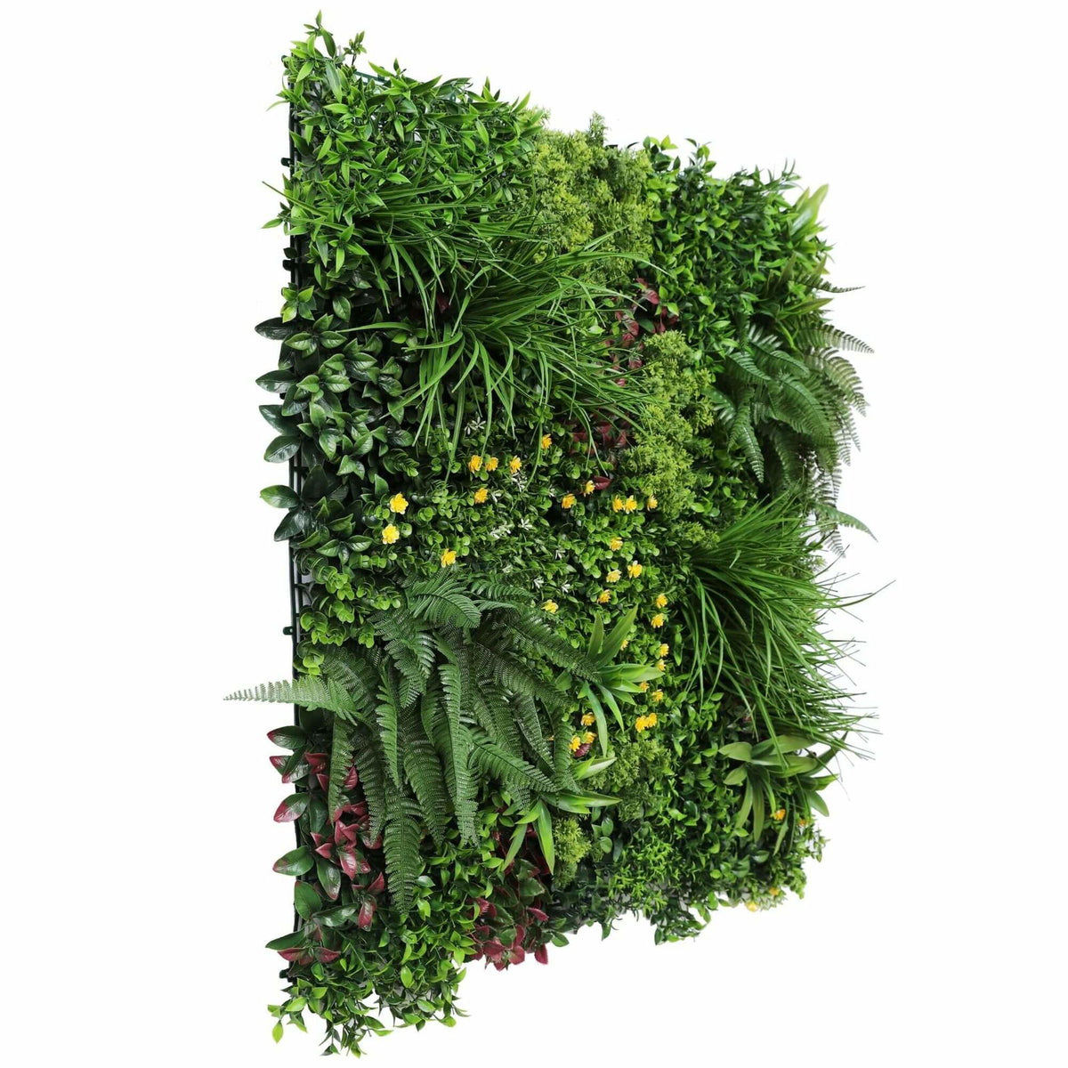 Luxury Country Fern Recycled Vertical Garden / Green Wall UV Resistant 100cm X 100cm - Image 3
