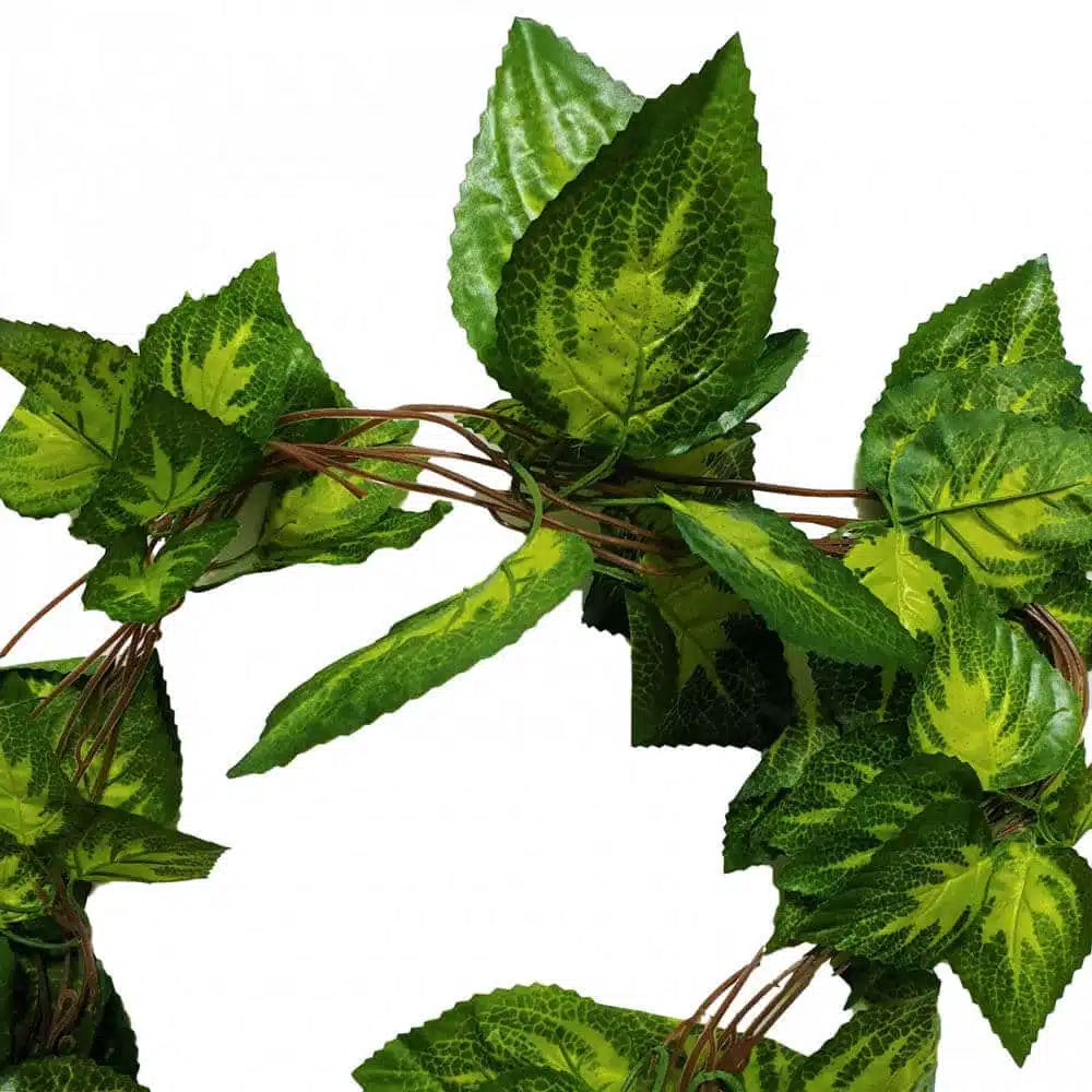 Artificial Pothos / Ivy Hanging Vines 260cm Each (5 pack) - Image 3
