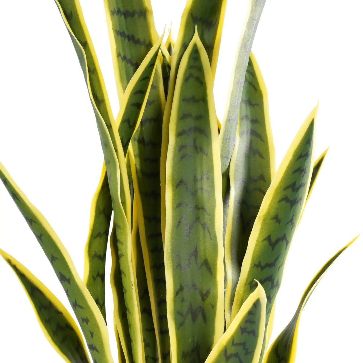 Artificial (faux) Mother in Law Tongue / Yellow Tongue Snake Plant UV Resistant 100CM
