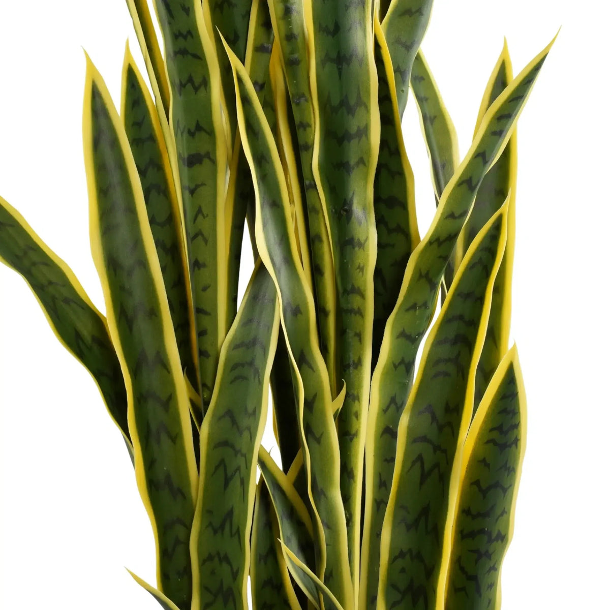 Premium Artificial Snake Plant (Sansevieria) 150cm UV Resistant