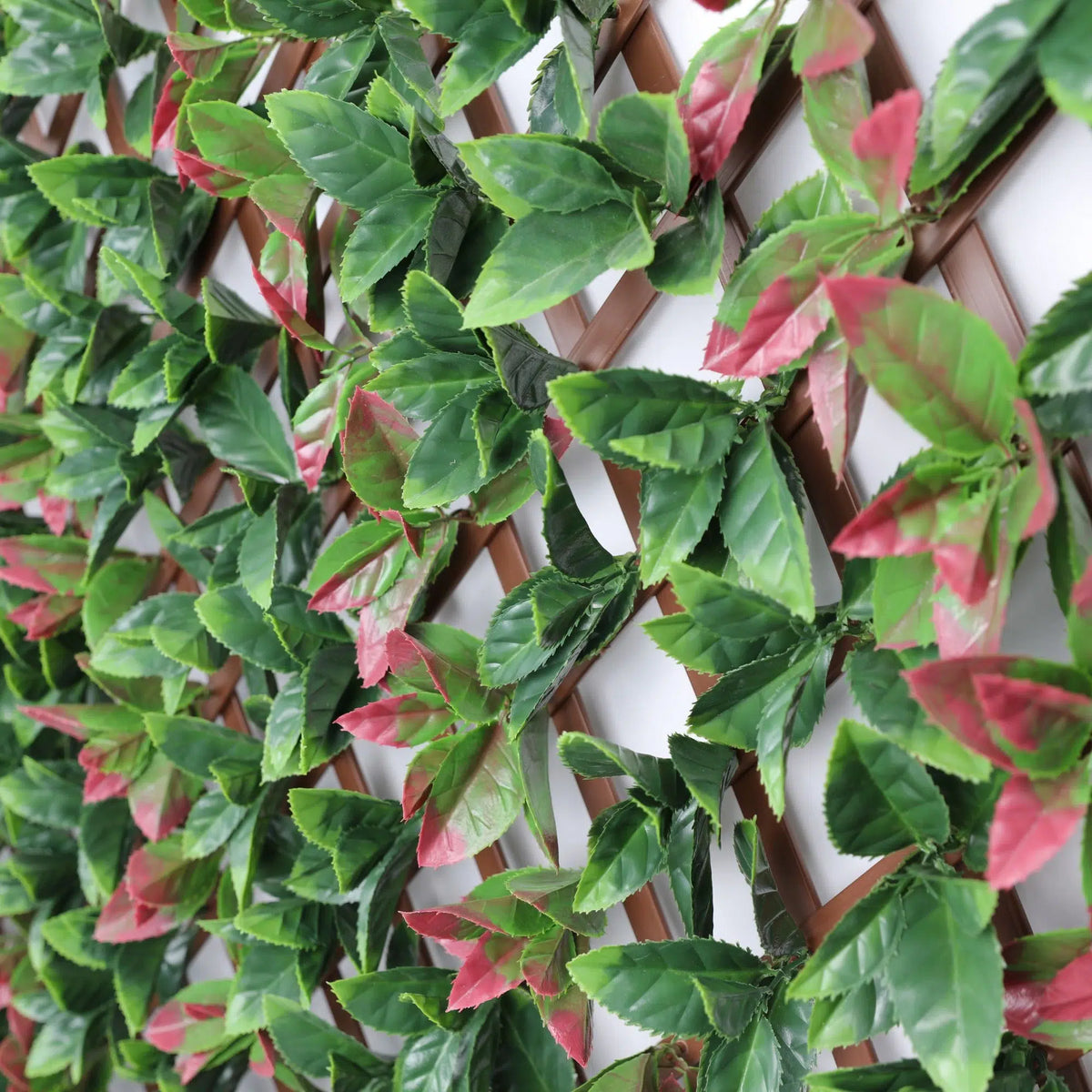 Premium Photinia Leaf Artificial Hedge Extendable Trellis / Screen 2m x 1m UV Resistant
