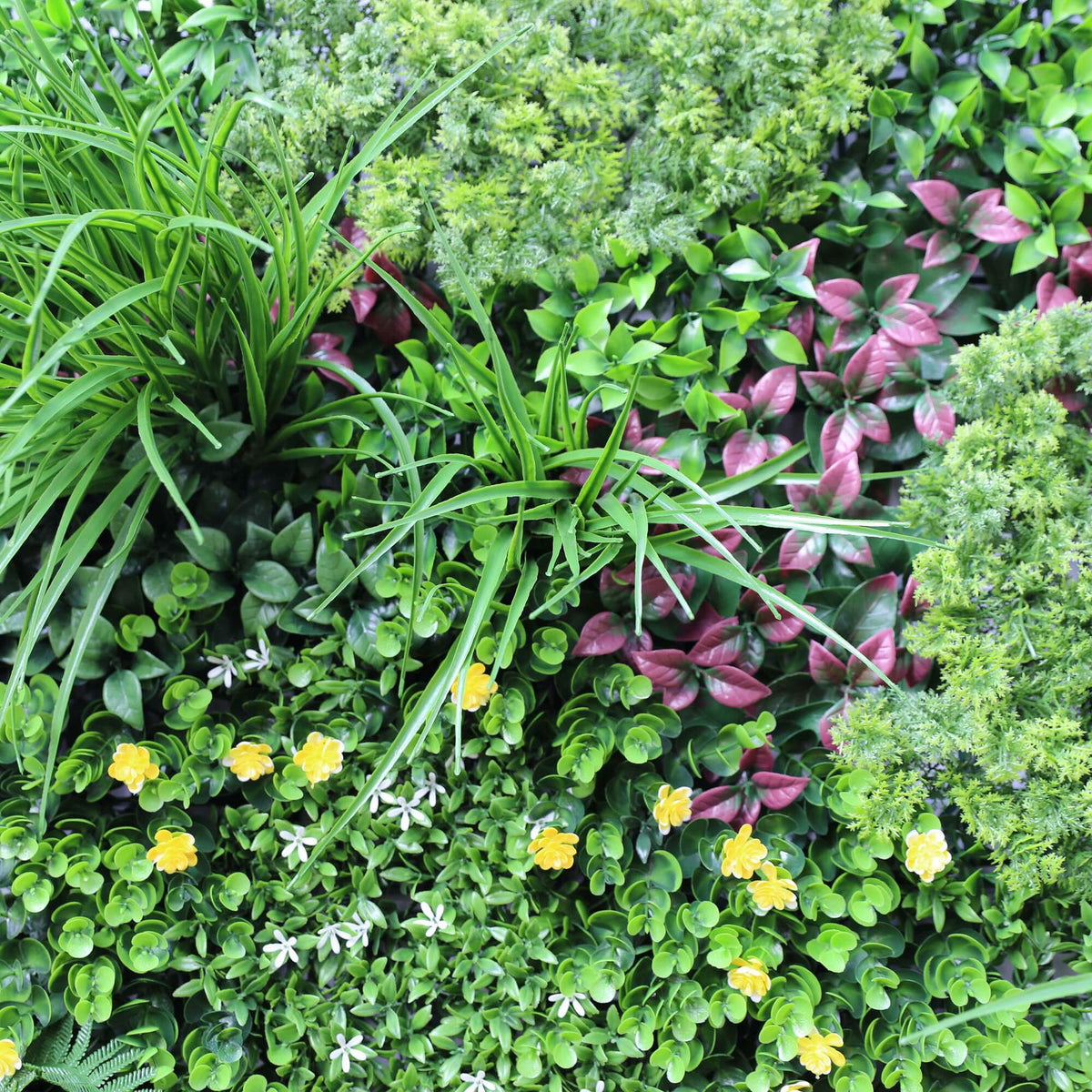 Luxury Country Fern Recycled Vertical Garden / Green Wall UV Resistant 100cm X 100cm - Image 4