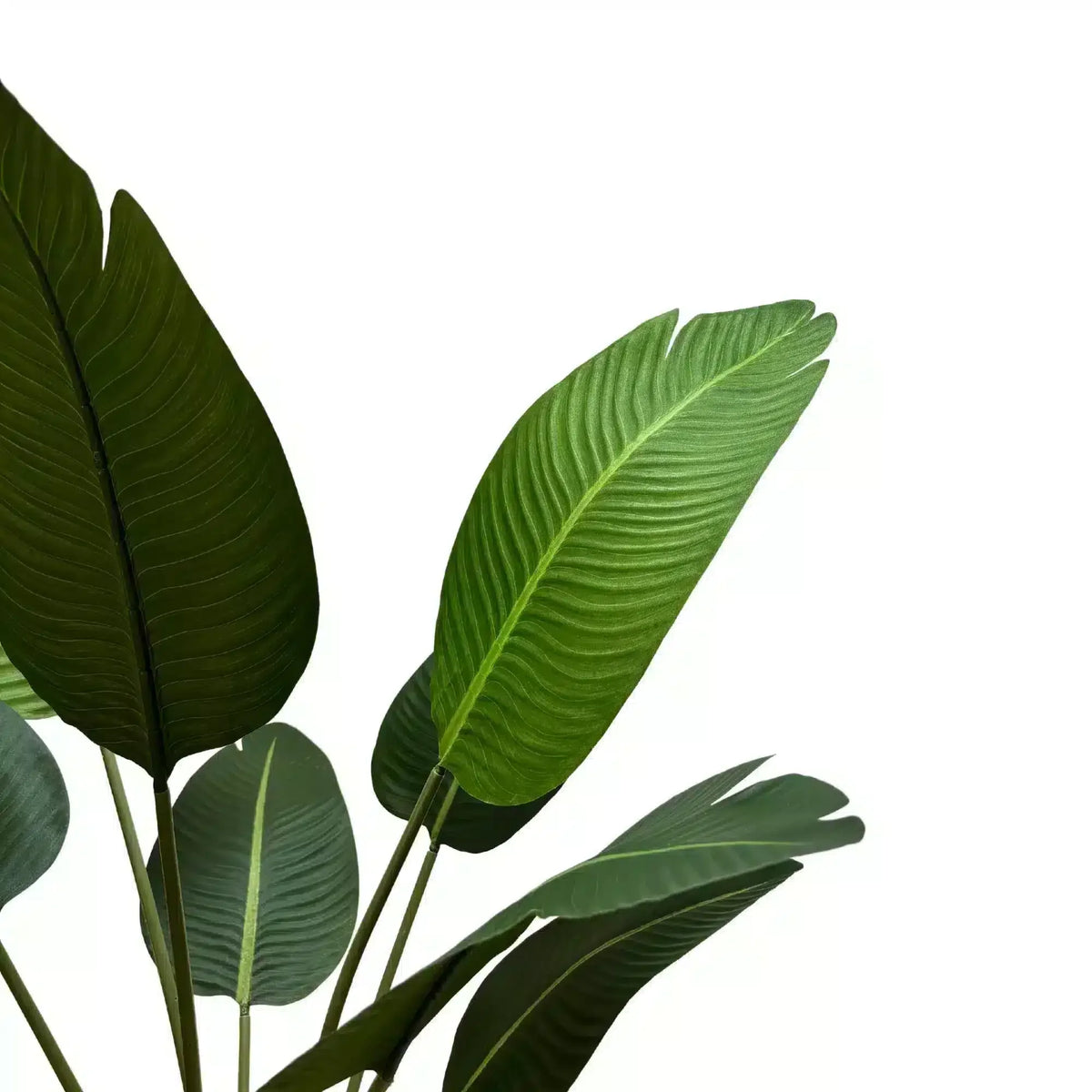 Grand Artificial Potted Travellers Palm (Banana Palm Tree) 120cm - Image 4