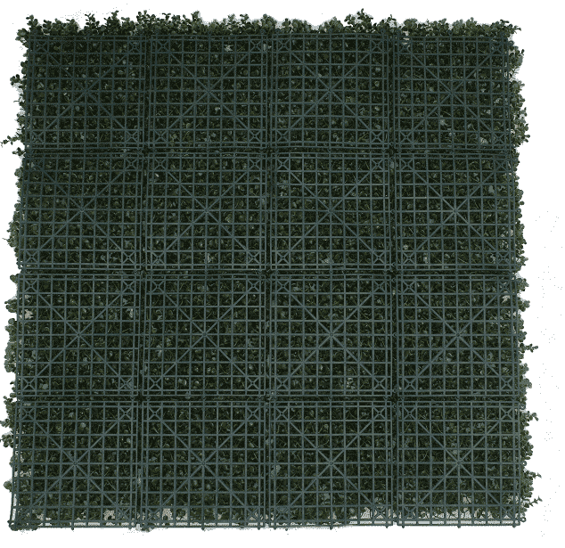 Premium Natural Buxus Hedge Panels UV Resistant 1m X 1m - Image 4