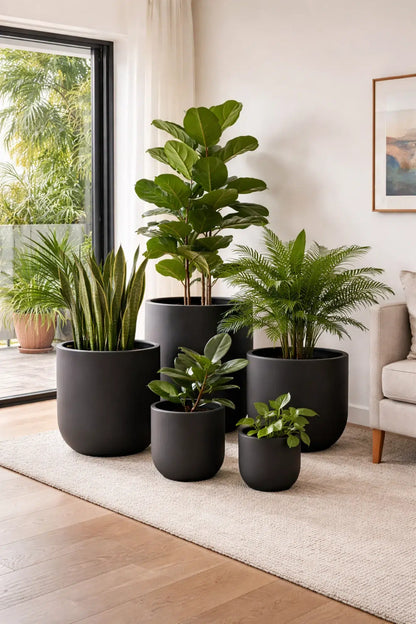 Luxury Egg-Shaped Ovate Planter Set of 5 | Premium Pot Range - Matt Black