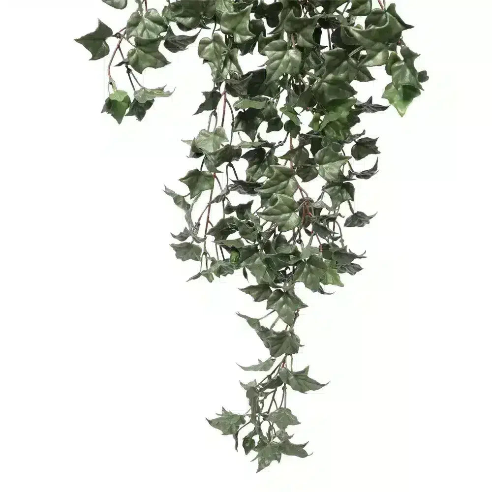 Hanging English Ivy Bush 80cm UV Resistant - Image 3