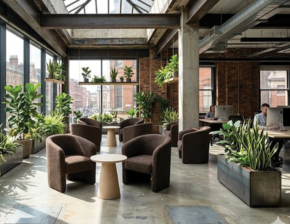 Cove Lounge Chair - Cacao