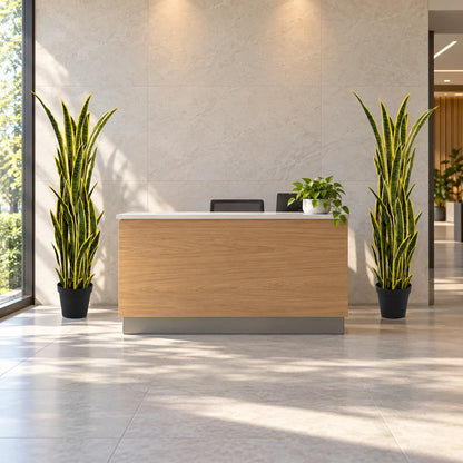 Premium Artificial Snake Plant (Sansevieria) 150cm UV Resistant