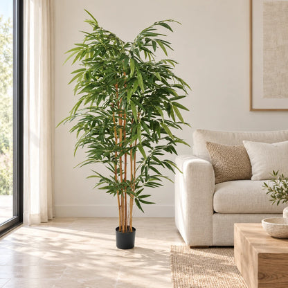 Premium Artificial Bamboo Plant With Natural Canes 180cm
