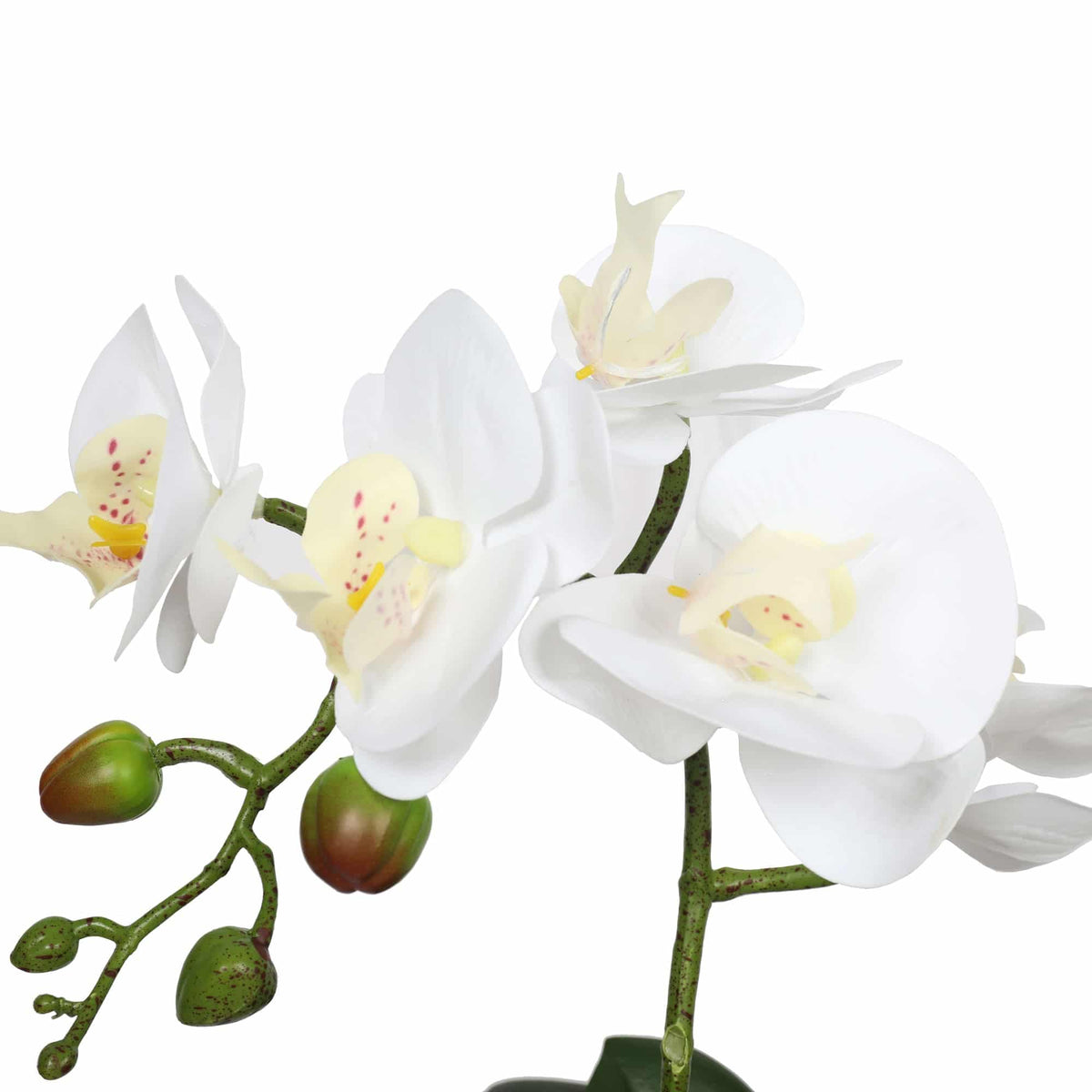 Potted Single Stem White Phalaenopsis Orchid with Decorative Pot 35cm - Image 3