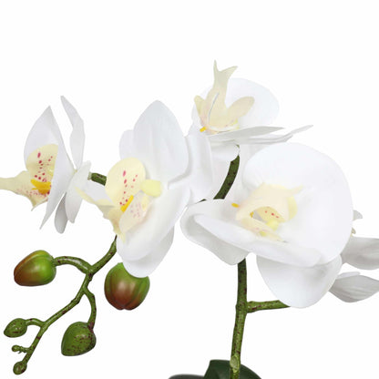 Potted Single Stem White Phalaenopsis Orchid with Decorative Pot 35cm - Image 3