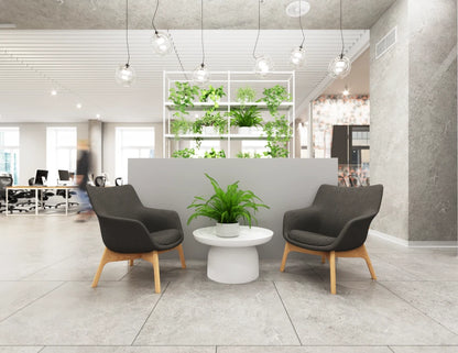 Flow Lounge Chair - Wood Base - Dark Grey